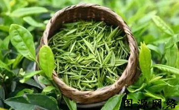 茶葉質(zhì)量追溯系統(tǒng)